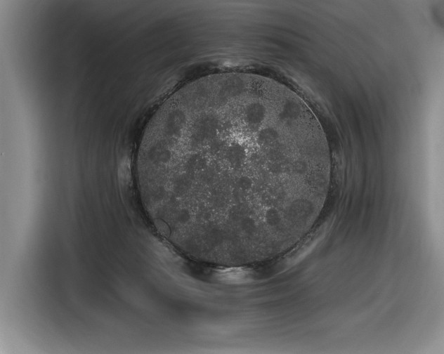 X0000116860269200912221144