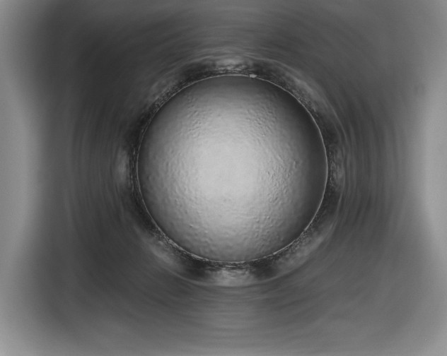 X0000116860270200912221144