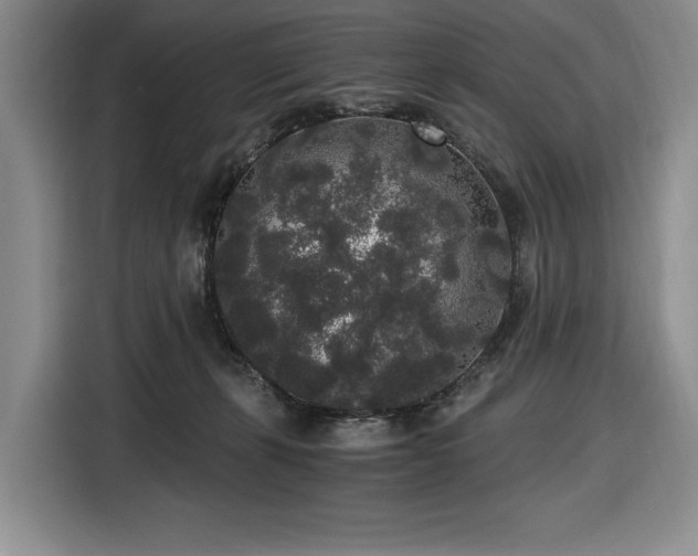 X0000116860271200912221144