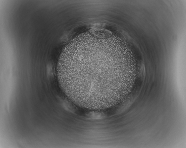 X0000116860272200912221144