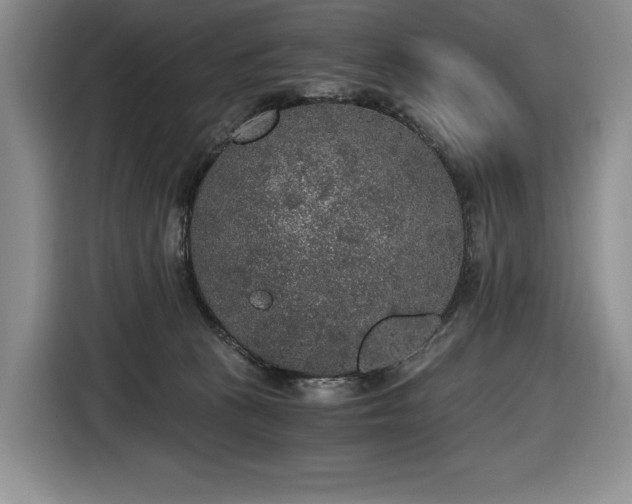 X0000116860273200912221144