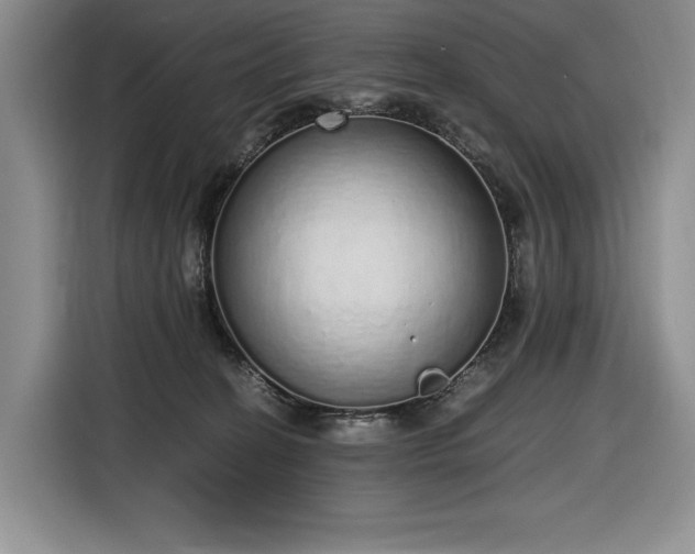 X0000116860274200912221144