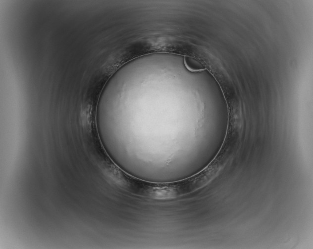 X0000116860275200912221144