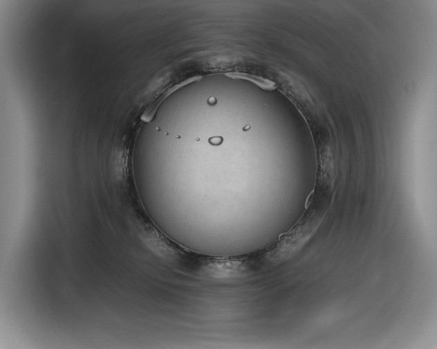 X0000116860278200912221144