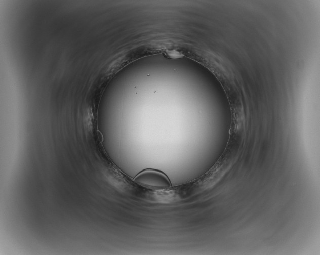 X0000116860279200912221144
