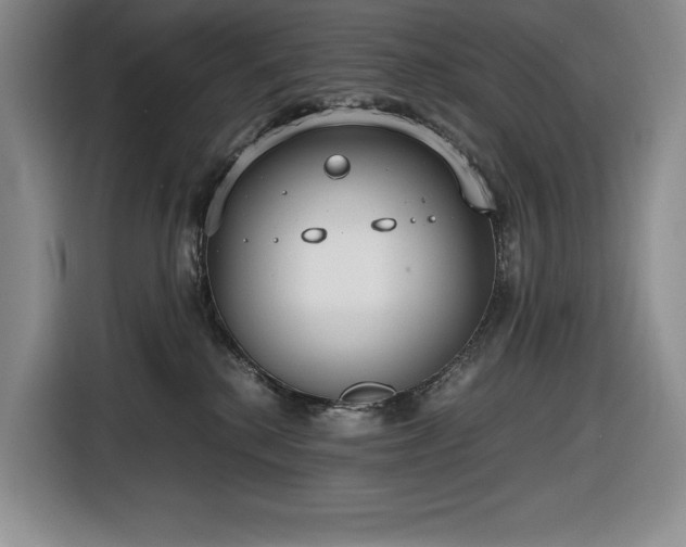 X0000116860280200912221144