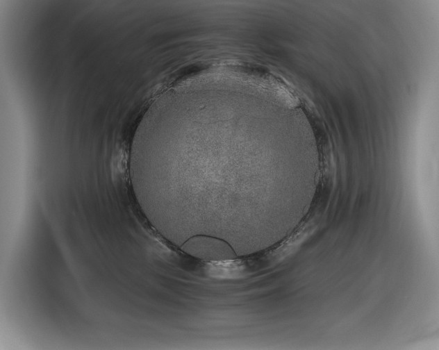 X0000116860281200912221144