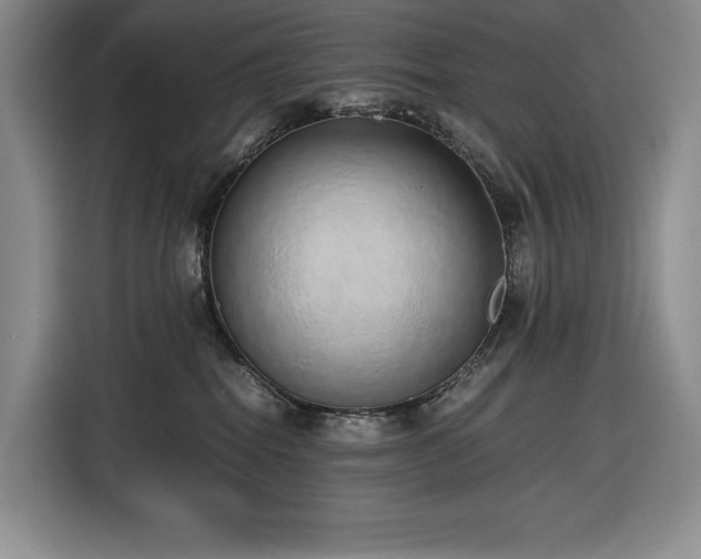 X0000116860282200912221144