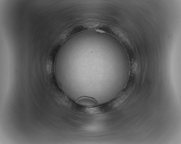 X0000116860283200912221144
