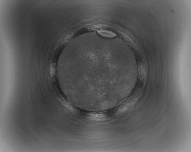 X0000116860284200912221144