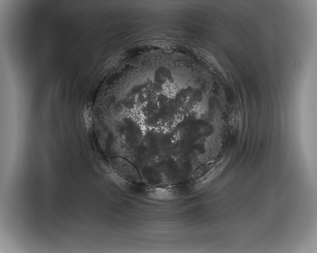 X0000116860285200912221144