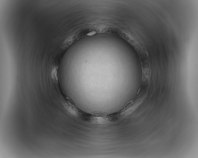 X0000116860286200912221144