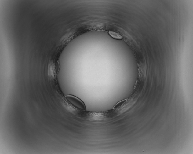 X0000116860287200912221145