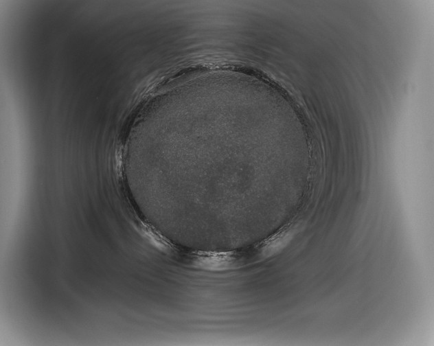 X0000116860288200912221145