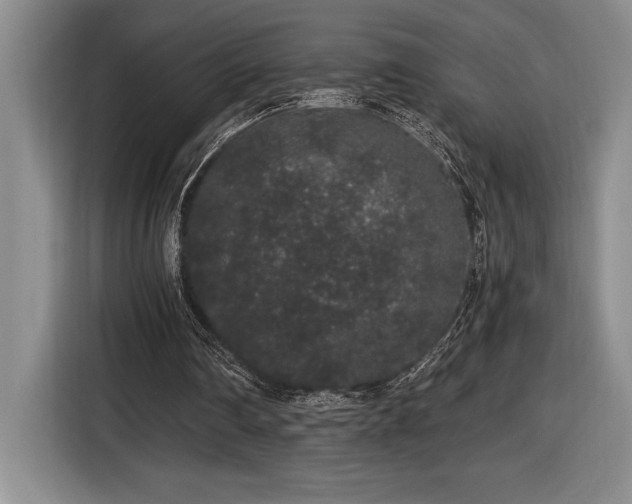 X0000116860290200912221144