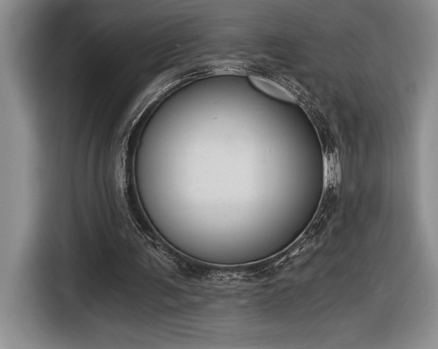 X0000116860291200912221144