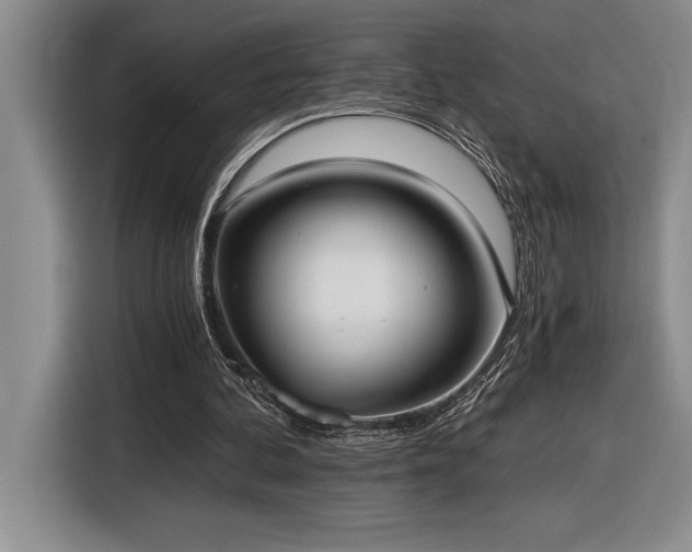 X0000116860292200912221144