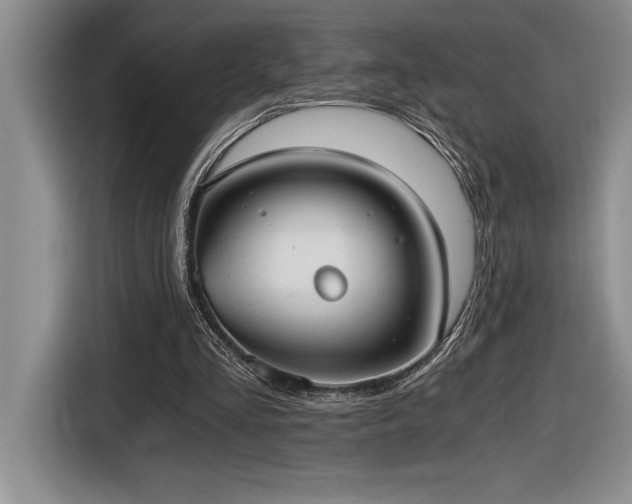 X0000116860293200912221144