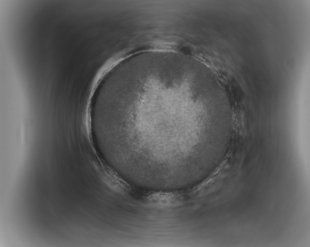 X0000116860294200912221144