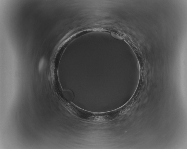 X0000116860295200912221144