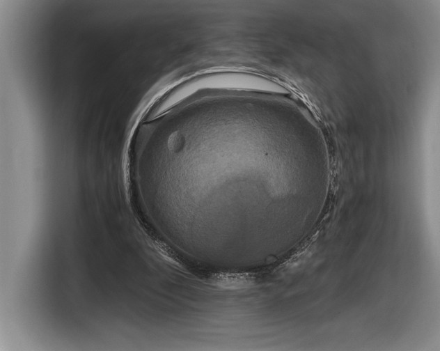 X0000116860296200912221144