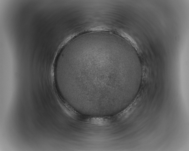 X0000116860298200912221144