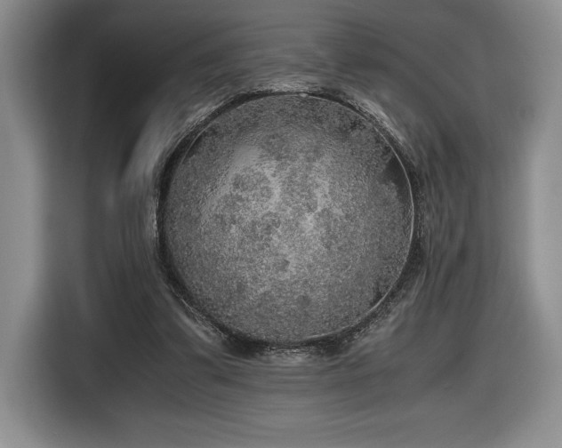 X0000116860299200912221144