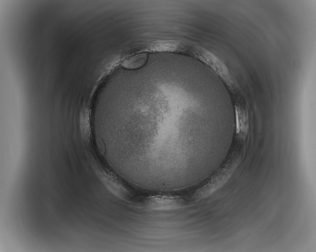 X0000116860300200912221144