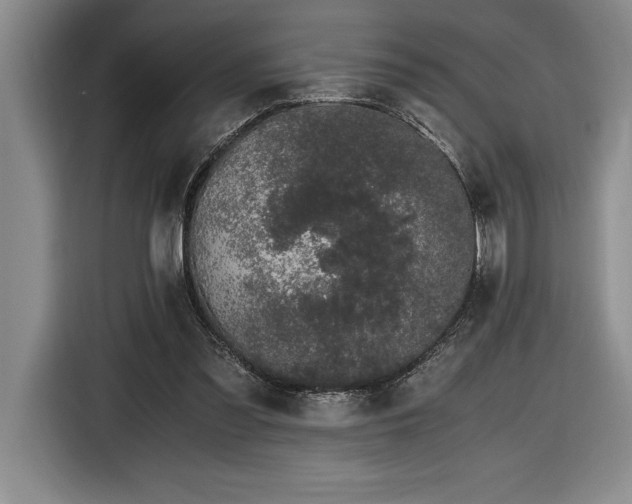 X0000116860301200912221144