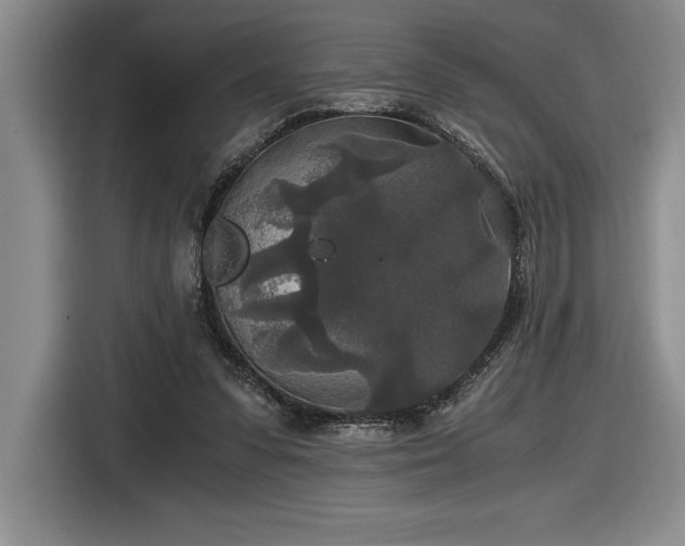 X0000116860303200912221144