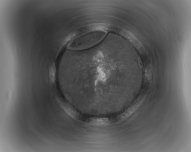 X0000116860304200912221144