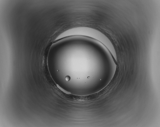 X0000116860308200912221144
