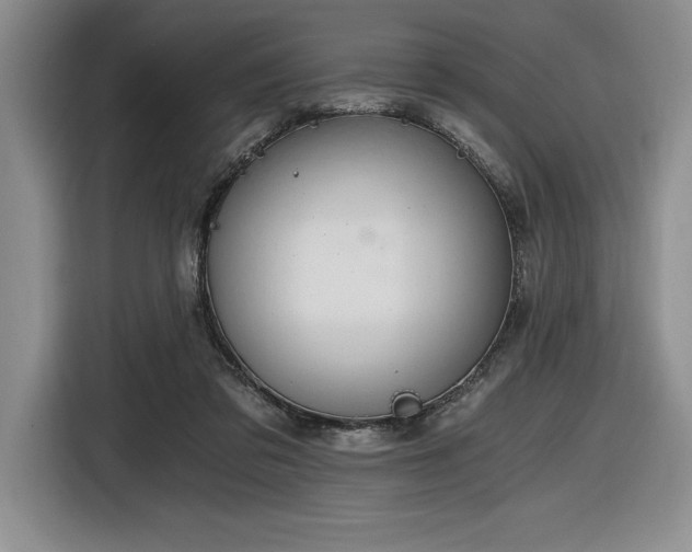 X0000116860309200912221144