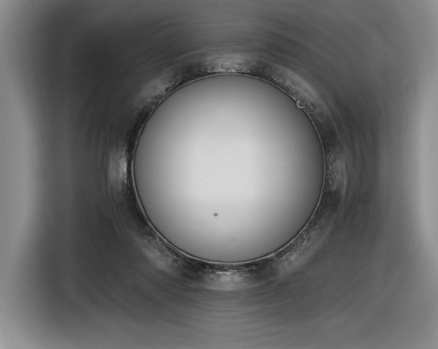 X0000116860310200912221144