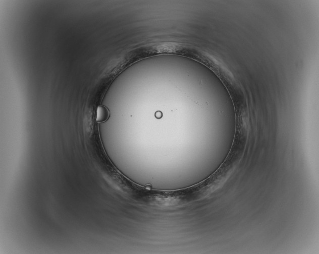 X0000116860311200912221144