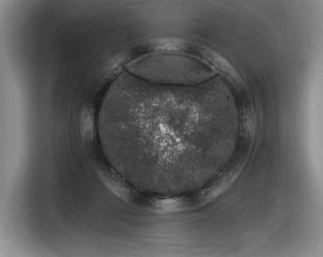 X0000116860312200912221144