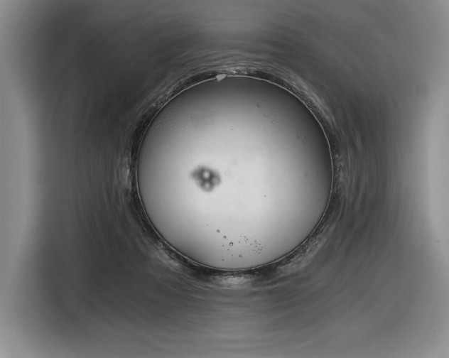X0000116860313200912221144