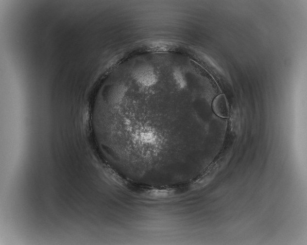 X0000116860314200912221144
