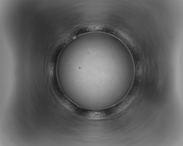 X0000116860315200912221144