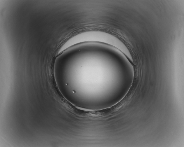 X0000116860317200912221144