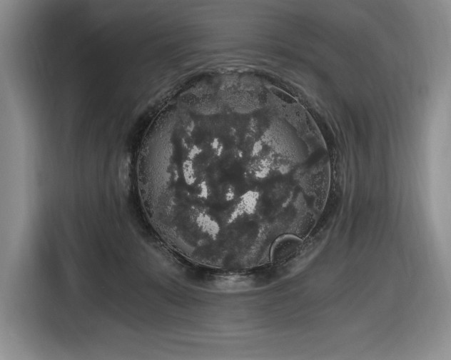 X0000116860319200912221144