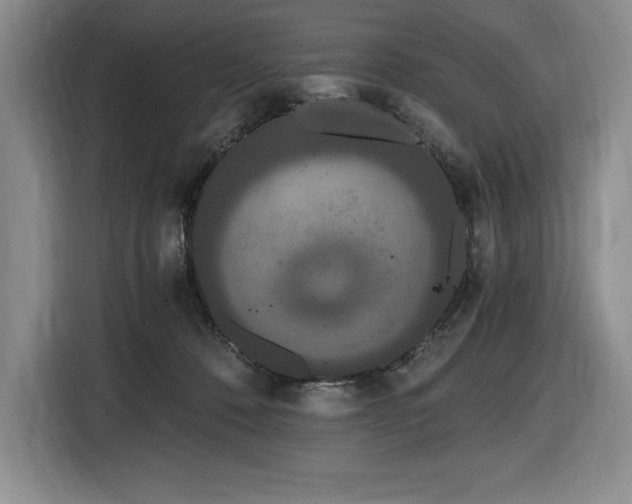 X0000116860320200912221144
