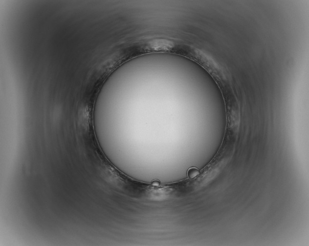 X0000116860321200912221143