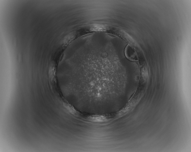 X0000116860322200912221143