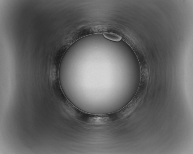X0000116860323200912221143
