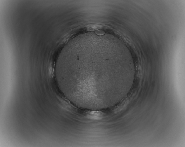 X0000116860324200912221143