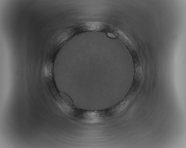X0000116860325200912221143