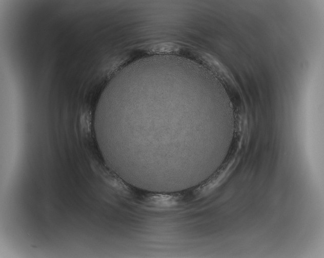 X0000116860326200912221143