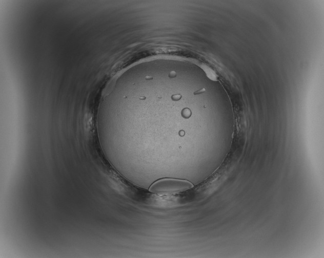 X0000116860327200912221143