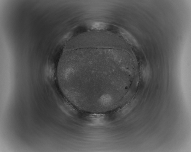 X0000116860328200912221143
